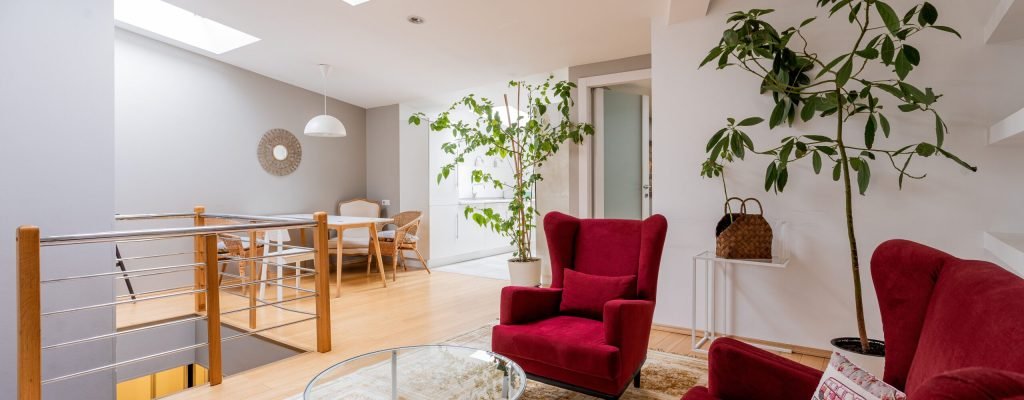 Contemporary living room featuring stylish furniture, natural light, and greenery for a cozy atmosphere.