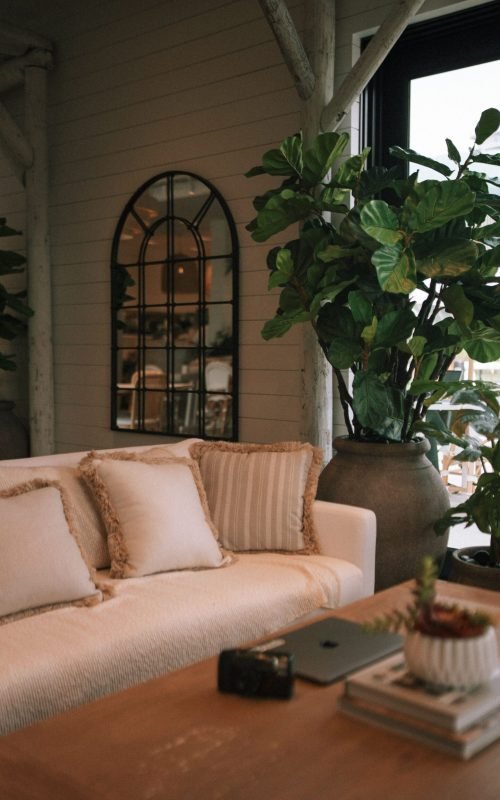Warm, cozy living room with vintage decor, potted plants, and soft lighting for a relaxing ambiance.
